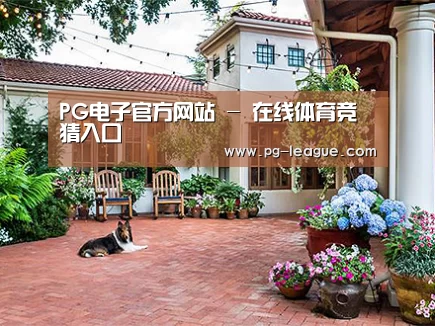 客户案例标题九(图1)