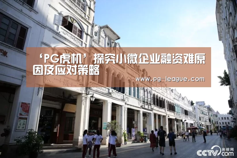 ‘PG虎机’探究小微企业融资难原因及应对策略(图3) PG棋牌