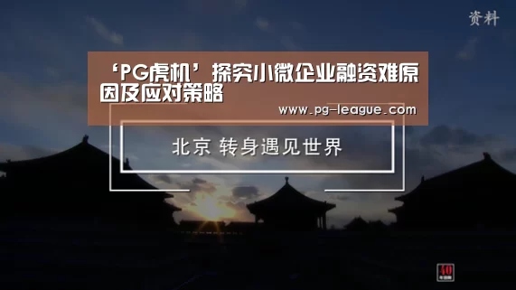 ‘PG虎机’探究小微企业融资难原因及应对策略(图1) PG电子