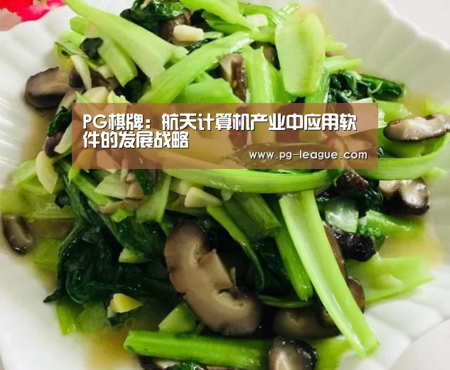 PG棋牌:航天计算机产业中应用软件的发展战略(图3) PG电子